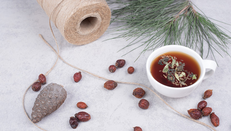 Juniper for Weight Loss: How Juniper Berries Can Help You Shed Pounds Naturally Juniper for Weight Loss: How Juniper Berries Can Help You Shed Pounds Naturally